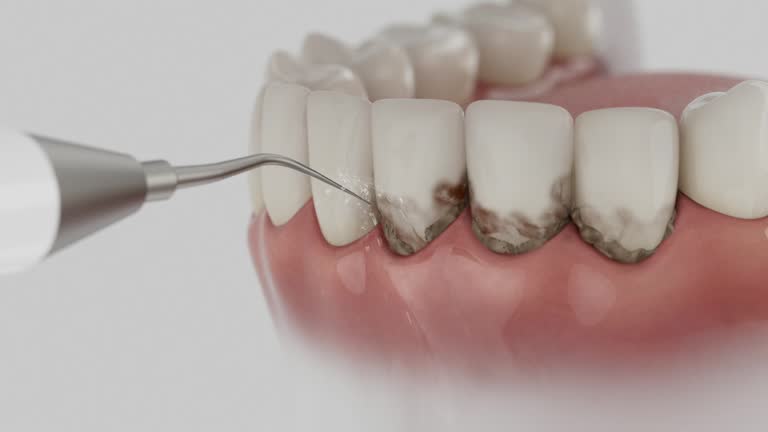 Reliable Dental contractor in Buda, TX by Dentist Open Now